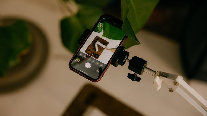 Celular en un trípode grabando una planta