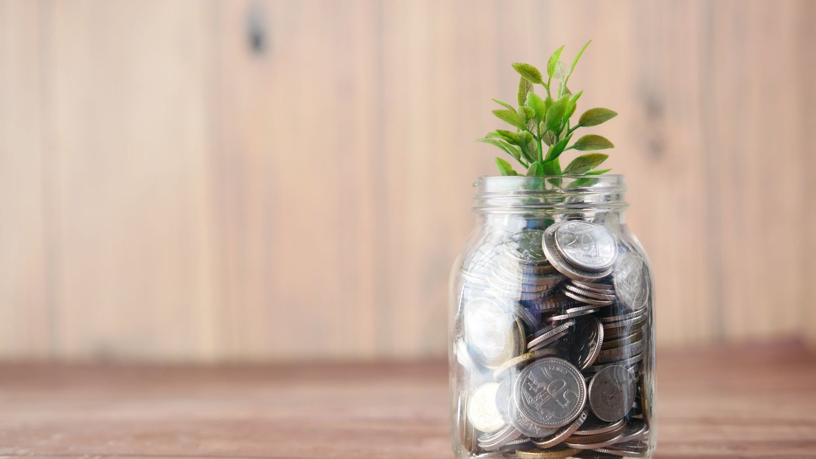 Frasco con monedas y una planta que brota
